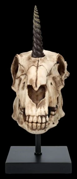 Einhorn Totenkopf Auf Ständer 15 Einhorn Totenkopf Auf Ständer -Statuen Modell Verkauf 2D FS26768 Einhorn Totenkopf auf Stander 2 1280x1280
