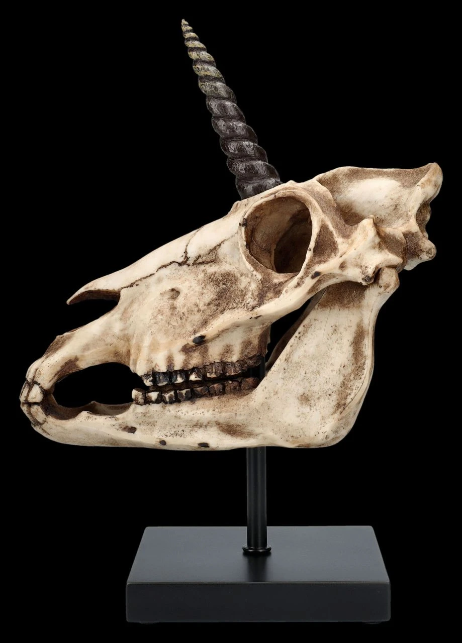 Einhorn Totenkopf Auf Ständer 3 Einhorn Totenkopf Auf Ständer