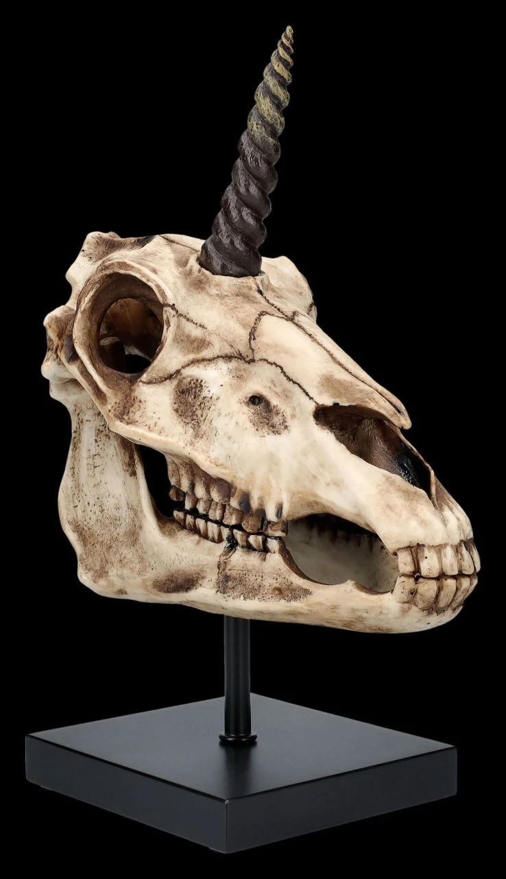 Einhorn Totenkopf Auf Ständer 7 Einhorn Totenkopf Auf Ständer – Bild 5