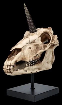 Einhorn Totenkopf Auf Ständer 13 Einhorn Totenkopf Auf Ständer -Statuen Modell Verkauf 2D FS26768 Einhorn Totenkopf auf Stander 6 1280x1280