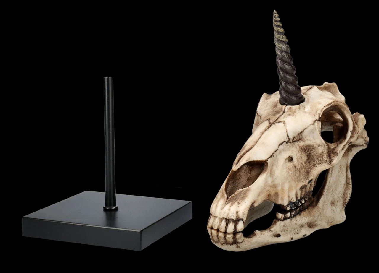 Einhorn Totenkopf Auf Ständer 10 Einhorn Totenkopf Auf Ständer – Bild 8