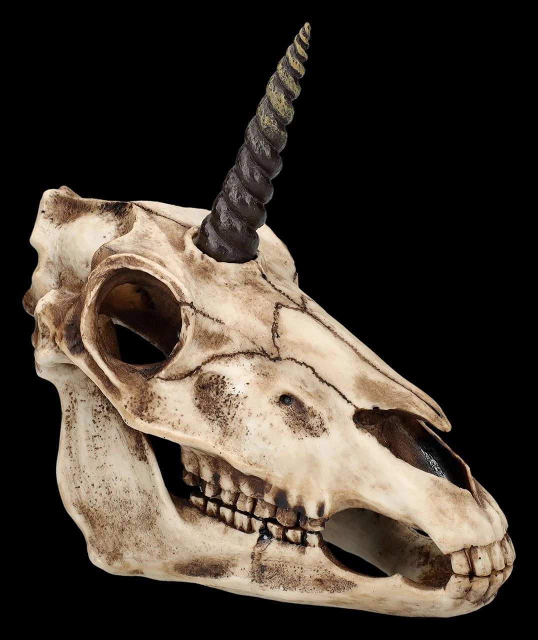 Einhorn Totenkopf Auf Ständer 4 Einhorn Totenkopf Auf Ständer – Bild 2