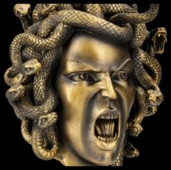 Kopf Der Medusa Auf Ständer -Statuen Modell Verkauf 2D FS26769 Kopf der Medusa auf Stander 7 1280x1280