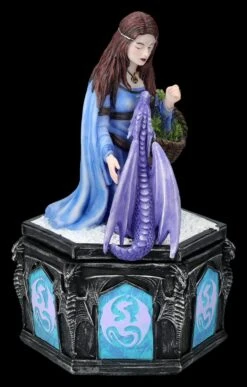 Schatulle Anne Stokes - Dragon Friendship Winter -Statuen Modell Verkauf 2D FS26914 Schatulle Anne Stokes Dragon Friendship Winter 5 1280x1280
