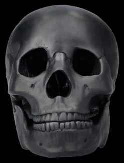 Totenkopf Schwarz - Beweglicher Unterkiefer 12 Totenkopf Schwarz - Beweglicher Unterkiefer -Statuen Modell Verkauf 2D FS26931 Totenkopf schwarz Beweglicher Unterkiefer 1 1280x1280