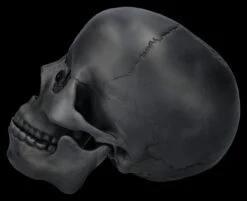 Totenkopf Schwarz - Beweglicher Unterkiefer 14 Totenkopf Schwarz - Beweglicher Unterkiefer -Statuen Modell Verkauf 2D FS26931 Totenkopf schwarz Beweglicher Unterkiefer 2 1280x1280