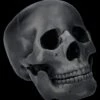 Totenkopf Schwarz - Beweglicher Unterkiefer 1 Totenkopf Schwarz - Beweglicher Unterkiefer -Statuen Modell Verkauf 2D FS26931 Totenkopf schwarz Beweglicher Unterkiefer 5 1280x1280