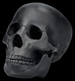 Totenkopf Schwarz - Beweglicher Unterkiefer 17 Totenkopf Schwarz - Beweglicher Unterkiefer -Statuen Modell Verkauf 2D FS26931 Totenkopf schwarz Beweglicher Unterkiefer 6 1280x1280
