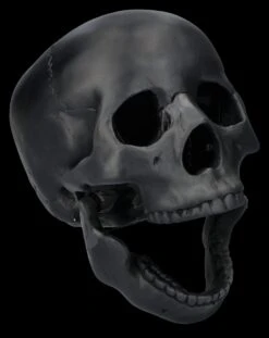 Totenkopf Schwarz - Beweglicher Unterkiefer 13 Totenkopf Schwarz - Beweglicher Unterkiefer -Statuen Modell Verkauf 2D FS26931 Totenkopf schwarz Beweglicher Unterkiefer 8 1280x1280