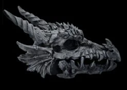 Riesen Drachenschädel Schwarz
