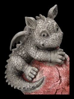 Garten Figur - Drache Auf Blumentopf Links -Statuen Modell Verkauf 2D ML7679 Ersatzbilder 7 1280x1280