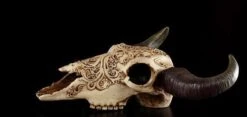 Totenkopf Bison Mit Tribals -Statuen Modell Verkauf 6738 2 tribal bison skull 2 1280x1280