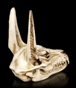 Totenkopf - Anubis Gott Der Totenriten -Statuen Modell Verkauf Aegyptischer Totenkopf Anubis 4 1280x1280