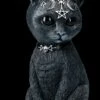 NEMESIS NOW Okkulte Katzenfigur Mit Hörnern - Pawzuph Groß -Statuen Modell Verkauf B2534S0 Okkulte Katzenfigur mit Hornern Pawzuph gross 1 1280x1280