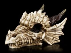 Drachenschädel - Drachenskelett -Statuen Modell Verkauf Drachenschaedel Drachenskelett 2 1280x1280