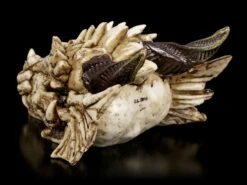 Drachenschädel - Drachenskelett -Statuen Modell Verkauf Drachenschaedel Drachenskelett 3 1280x1280