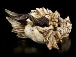 Drachenschädel - Drachenskelett -Statuen Modell Verkauf Drachenschaedel Drachenskelett 4 1280x1280