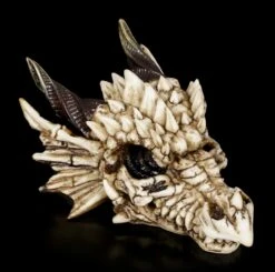 Drachenschädel - Drachenskelett -Statuen Modell Verkauf Drachenschaedel Drachenskelett 5 1280x1280
