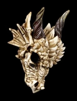 Drachenschädel - Drachenskelett -Statuen Modell Verkauf Drachenschaedel Drachenskelett 6 1280x1280