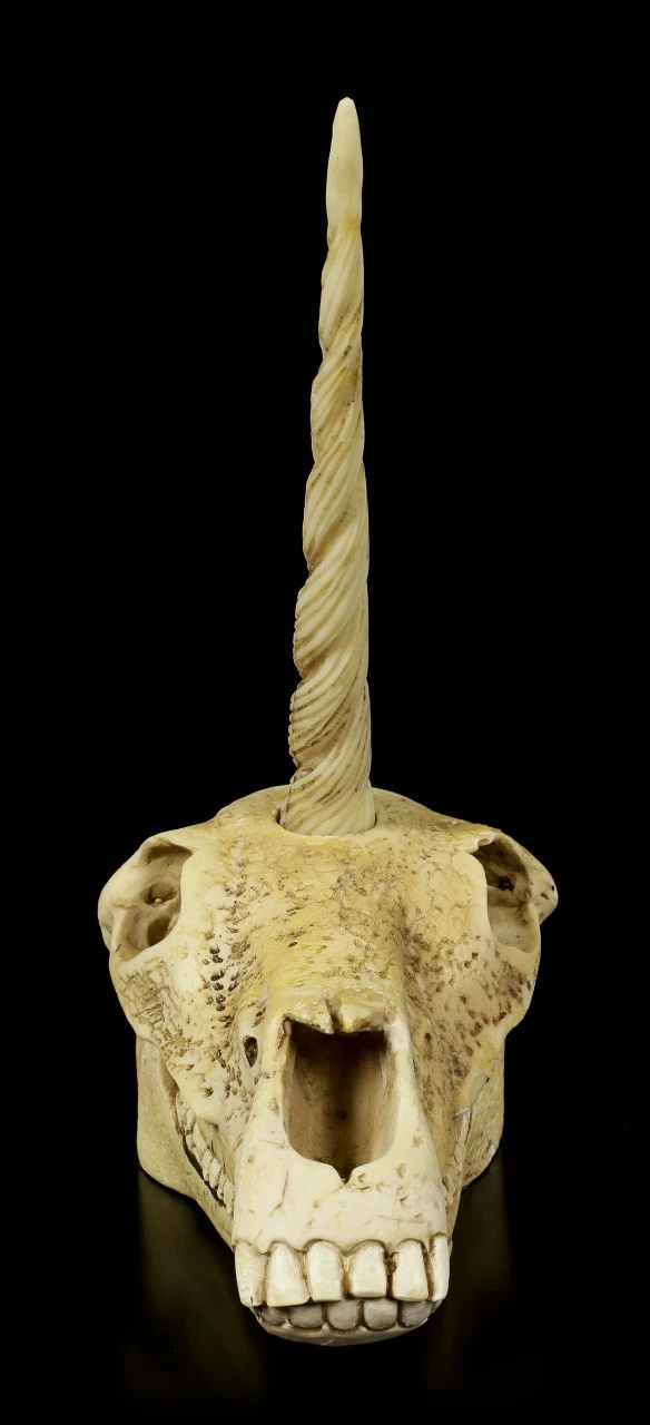 Einhorn Totenkopf 4 Einhorn Totenkopf – Bild 2