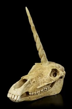 Einhorn Totenkopf 10 Einhorn Totenkopf -Statuen Modell Verkauf Einhorn Totenkopf 2 1280x1280