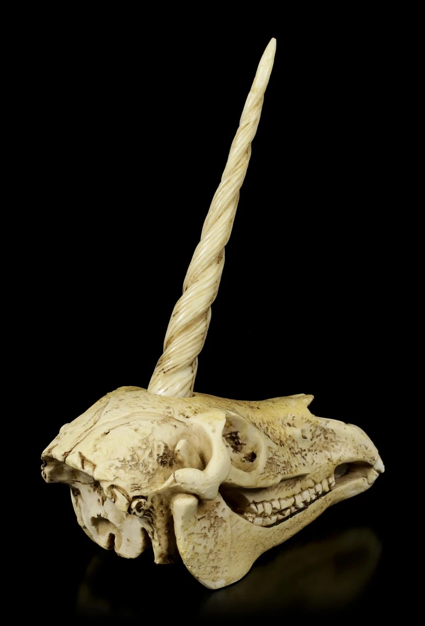 Einhorn Totenkopf 7 Einhorn Totenkopf – Bild 5