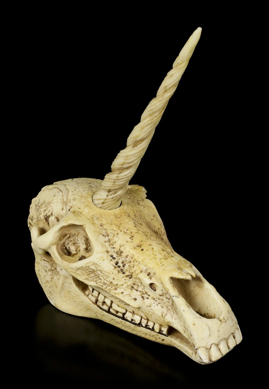 Einhorn Totenkopf 8 Einhorn Totenkopf – Bild 6