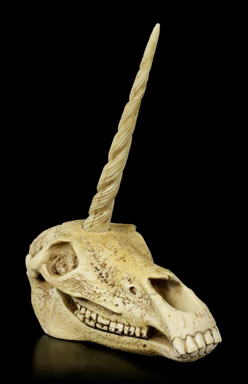 Einhorn Totenkopf 3 Einhorn Totenkopf