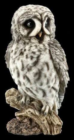 Eulen Figur - Bartkauz Auf Ast - Groß