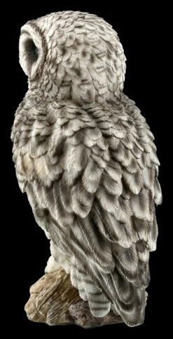 Eulen Figur - Bartkauz Auf Ast - Groß -Statuen Modell Verkauf FS20795 Eulen Figur Bartkauz auf Ast sitzend gross 4 1280x1280