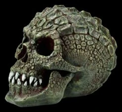 Totenkopf - Reptil Gatorhead 9 Totenkopf - Reptil Gatorhead -Statuen Modell Verkauf FS21093 Reptil Totenkopf Gatorhead 3 1280x1280