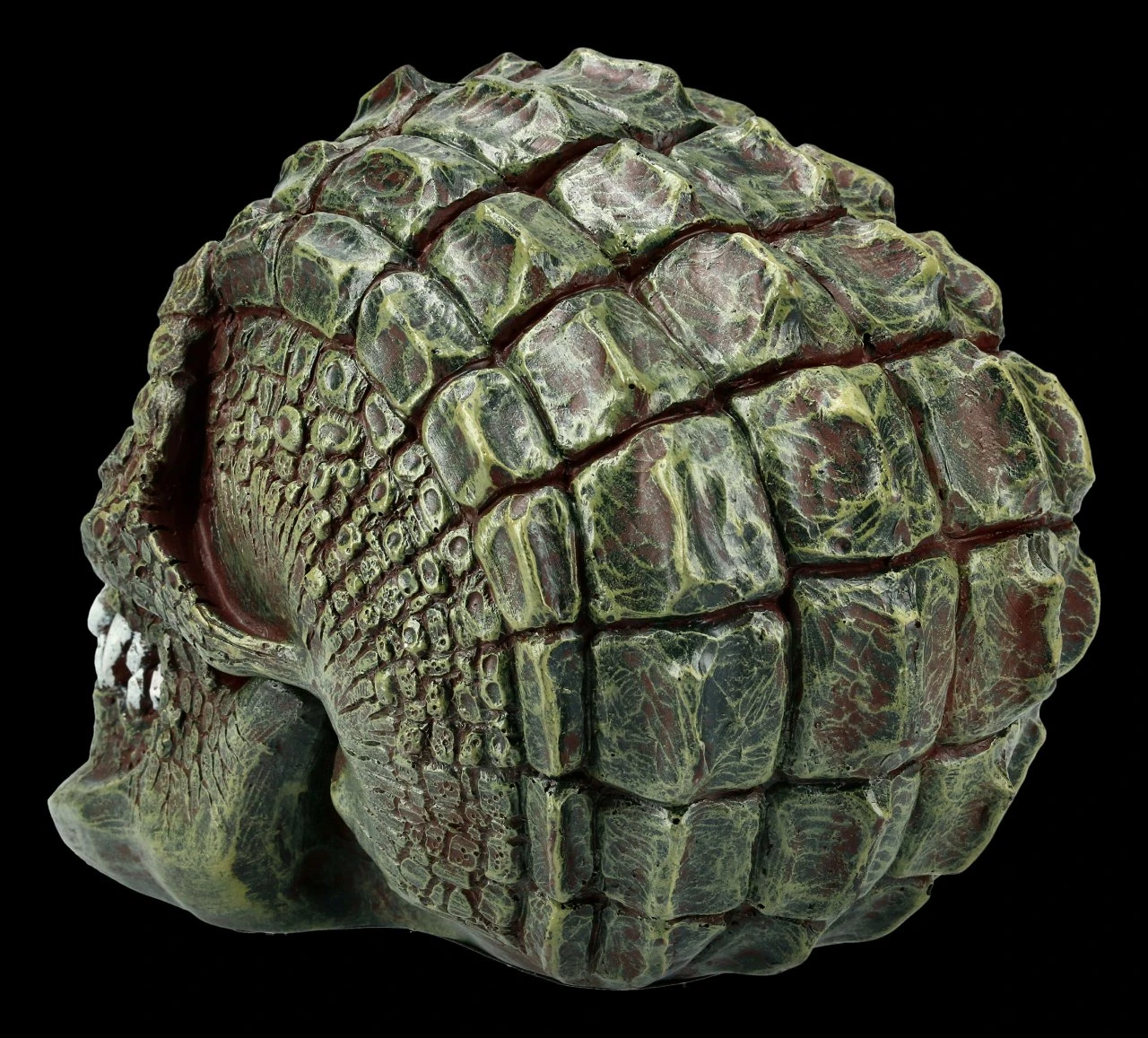 Totenkopf - Reptil Gatorhead 6 Totenkopf - Reptil Gatorhead – Bild 4