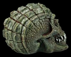 Totenkopf - Reptil Gatorhead 11 Totenkopf - Reptil Gatorhead -Statuen Modell Verkauf FS21093 Reptil Totenkopf Gatorhead 8 1280x1280