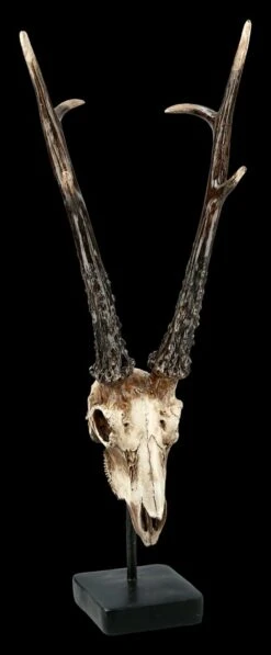 Rehbock Totenkopf Auf Metall Ständer -Statuen Modell Verkauf FS21254 Antilopen Totenkopf auf Metall Staender 1 1280x1280