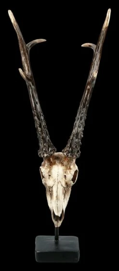 Rehbock Totenkopf Auf Metall Ständer -Statuen Modell Verkauf FS21254 Antilopen Totenkopf auf Metall Staender 2 1280x1280