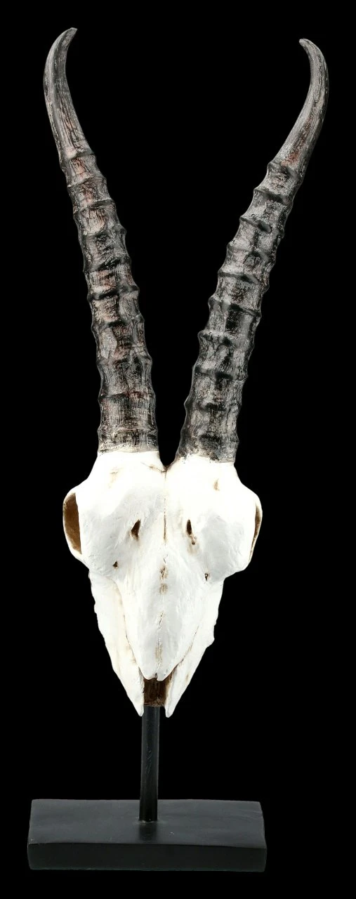 Antilopen Totenkopf Auf Metall Ständer 4 Antilopen Totenkopf Auf Metall Ständer – Bild 2