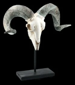 Widder Totenkopf Auf Metall Ständer