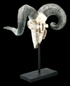 Widder Totenkopf Auf Metall Ständer -Statuen Modell Verkauf FS21256 Widder Totenkopf auf Metall Staender 5 1280x1280