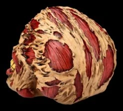 Zombie Totenkopf - The Hoard -Statuen Modell Verkauf FS21313 Zombie Totenkopf The Hoard 5jnqv1y9rMPGzZ 1280x1280