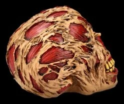 Zombie Totenkopf - The Hoard -Statuen Modell Verkauf FS21313 Zombie Totenkopf The Hoard 8NoITnw4Hdz7sI 1280x1280