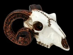 Alchemy Widderschädel - Klein