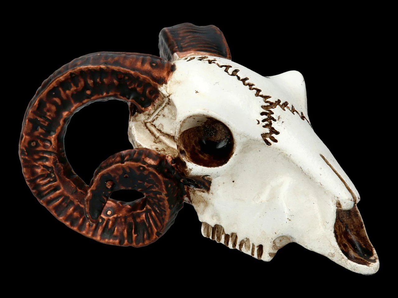 Alchemy Widderschädel - Klein 3 Alchemy Widderschädel - Klein