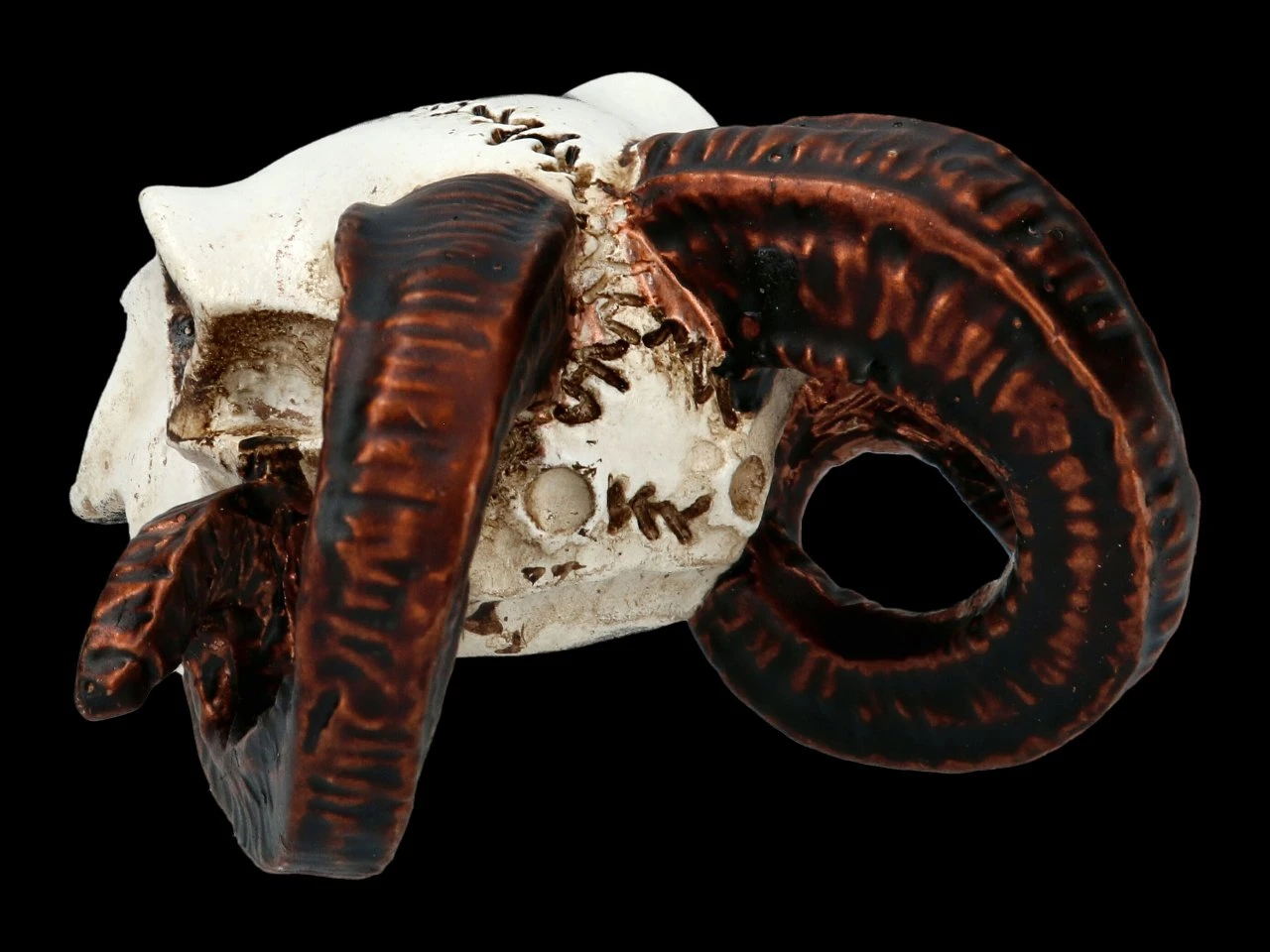 Alchemy Widderschädel - Klein 6 Alchemy Widderschädel - Klein – Bild 4