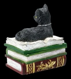 Schatulle - Katze Auf Grünen Büchern 13 Schatulle - Katze Auf Grünen Büchern -Statuen Modell Verkauf FS21977 Schatulle Katze auf greunen Buechern 5 1280x1280