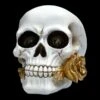 Weißer Totenkopf Mit Rose - Floral Fate