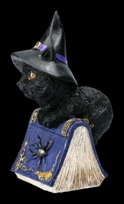 Kleine Hexenkatzen Figur - Pocus 12 Kleine Hexenkatzen Figur - Pocus -Statuen Modell Verkauf FS22368 Kleine Hexenkatzen Figur Pocus 3XGKhrflSNjo2U 1280x1280