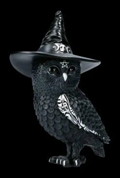 NEMESIS NOW Eulen Figur - Hexe Owlocen -Statuen Modell Verkauf FS22437 Eulen Figur Hexe Owlocen 1 1280x1280