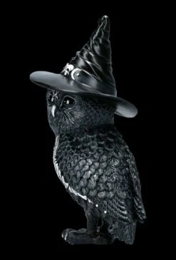 NEMESIS NOW Eulen Figur - Hexe Owlocen -Statuen Modell Verkauf FS22437 Eulen Figur Hexe Owlocen 3 1280x1280