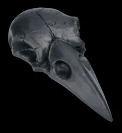 Handspiegel - Rabenschädel Schwarz