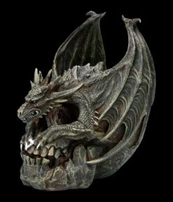 Spiral Drache Auf Totenkopf - Draco Skull -Statuen Modell Verkauf FS22708 Drache auf Totenkopf Draco Skull 3 1280x1280